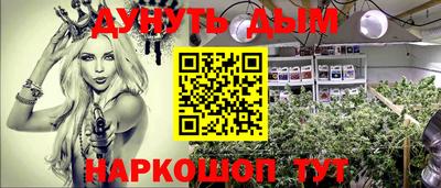 Альфа ПВП Аргун