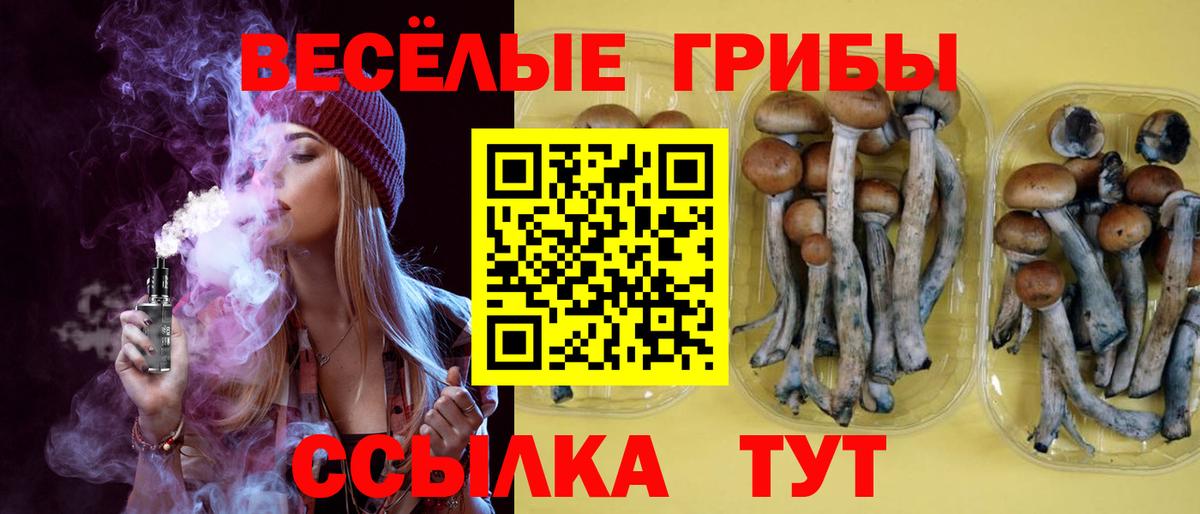 Галлюциногенные грибы мухоморы  Галлюциногенные грибы ЛСД  Волгоград  Вход с VPN 